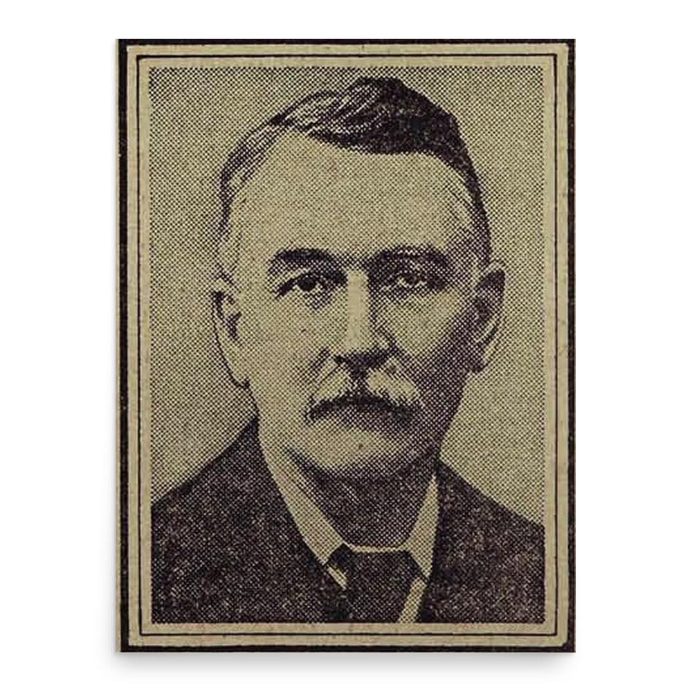 Aneurin Williams poster print, in size 18x24 inches.