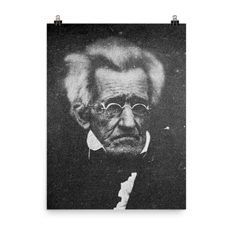 78-Year-Old Andrew Jackson, 1845 poster on a plain backdrop in size 8