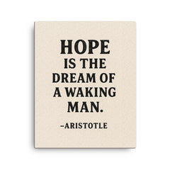 “Hope is the dream of a waking man ” Aristotle canvas print on a plain backdrop in size 16"x20".