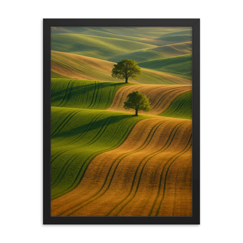 “Moravian Tuscany” Rolling Fields Czech Republic framed print on a plain backdrop in size 18