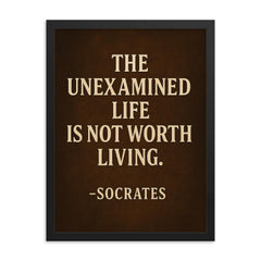 “The unexamined life is not worth living ” Socrates framed print on a plain backdrop in size 18"x24".