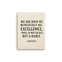 “We are what we repeatedly do Excellence then is not an act but a habit ” Aristotle canvas print on a plain backdrop in size 12"x16".