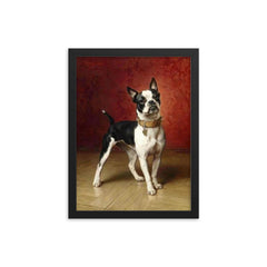 A French Bulldog by Carl Reichert  framed print on a plain backdrop in size 12"x16".
