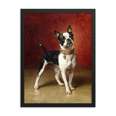 A French Bulldog by Carl Reichert  framed print on a plain backdrop in size 18"x24".