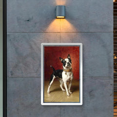 A French Bulldog by Carl Reichert  poster 2