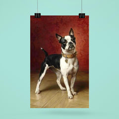 A French Bulldog by Carl Reichert  poster 6