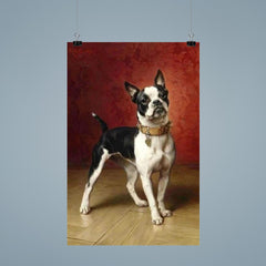 A French Bulldog by Carl Reichert  poster 9