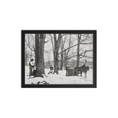 A group of men gathering sap in a Vermont maple sugar camp, 1906 framed print on a plain backdrop in size 12"x16".