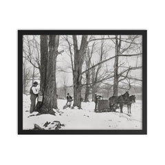 A group of men gathering sap in a Vermont maple sugar camp, 1906 framed print on a plain backdrop in size 16"x20".