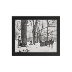 A group of men gathering sap in a Vermont maple sugar camp, 1906 framed print on a plain backdrop in size 8"x10".