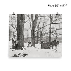 A group of men gathering sap in a Vermont maple sugar camp, 1906 poster 2