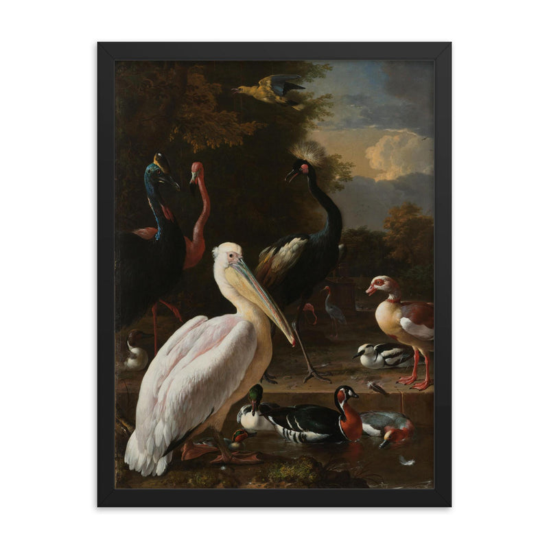A Pelican and other Birds near a Pool, Known as ‘The Floating Feather’ by Melchior d' Hondecoeter, 1680 framed print on a plain backdrop in size 18