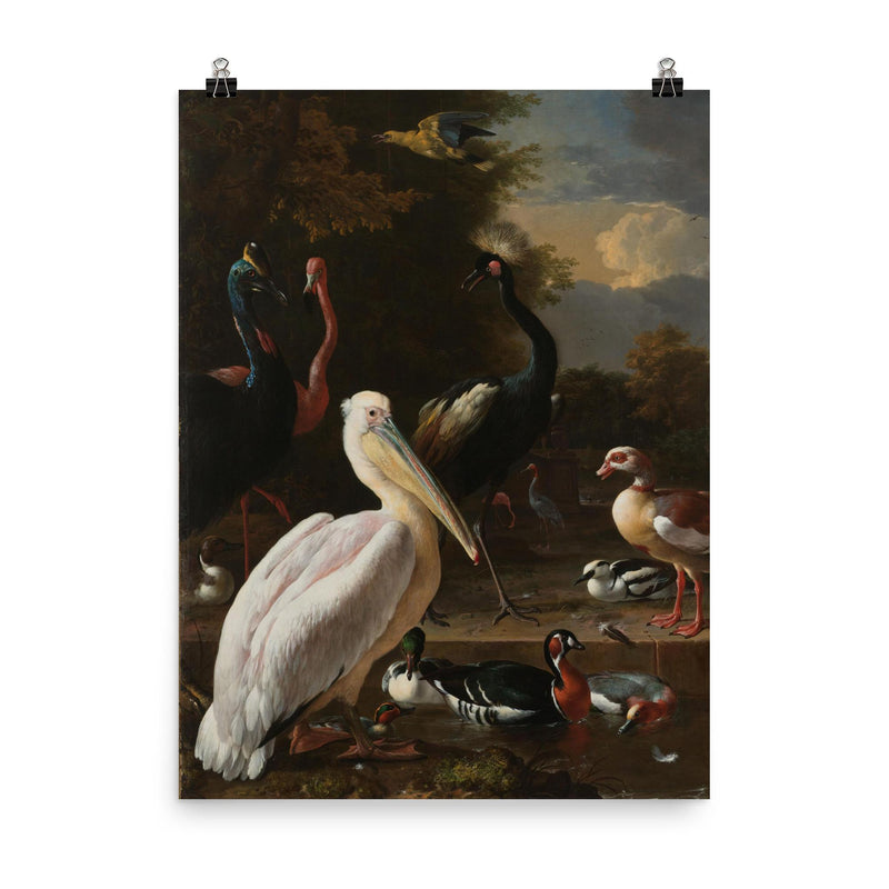 A Pelican and other Birds near a Pool, Known as ‘The Floating Feather’ by Melchior d' Hondecoeter, 1680 poster on a plain backdrop in size 8