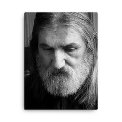 Abbas Kamandi canvas print on a plain backdrop in size 18"x24".