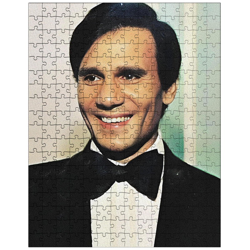 Abdel Halim Hafez jigsaw puzzle