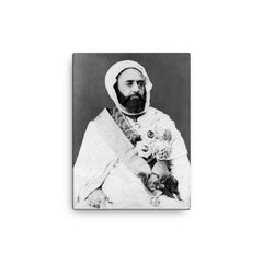 Abdelkader El Djezairi canvas print on a plain backdrop in size 12"x16".