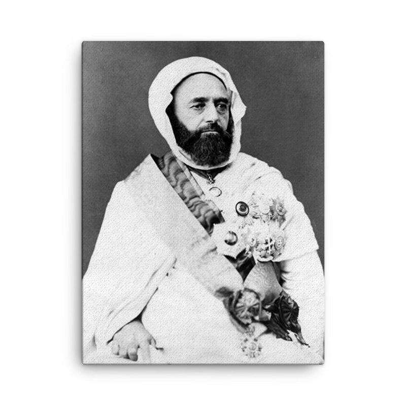 Abdelkader El Djezairi canvas print on a plain backdrop in size 18