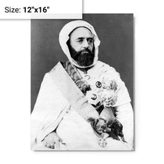 Abdelkader El Djezairi metal print on a plain backdrop in size 12"x16".