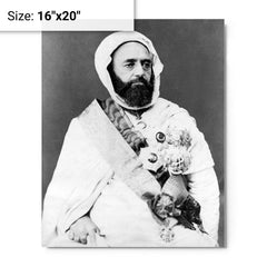 Abdelkader El Djezairi metal print on a plain backdrop in size 16"x20".