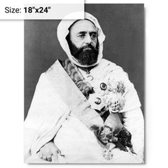 Abdelkader El Djezairi metal print on a plain backdrop in size 18"x24".