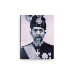 Abdul Hamid Halim canvas print on a plain backdrop in size 12"x16".