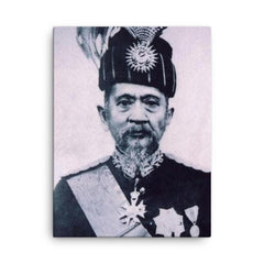 Abdul Hamid Halim canvas print on a plain backdrop in size 18"x24".