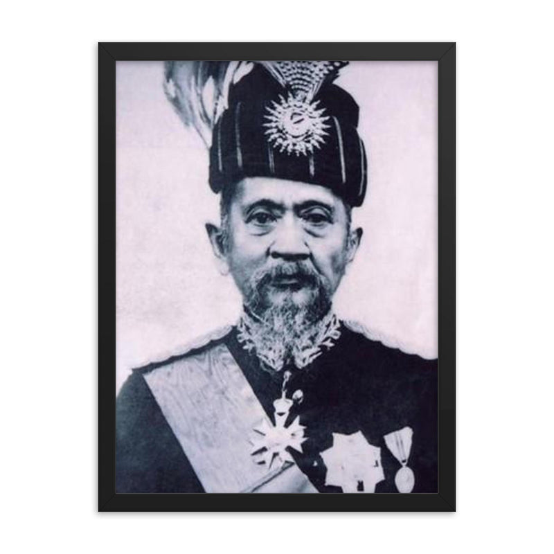 Abdul Hamid Halim framed print on a plain backdrop in size 18
