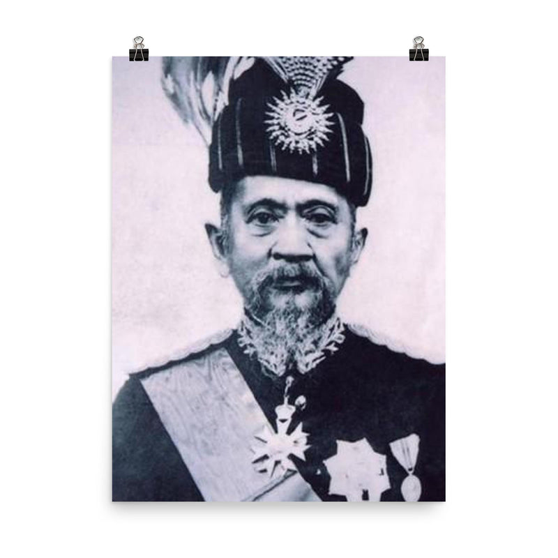 Abdul Hamid Halim poster on a plain backdrop in size 8