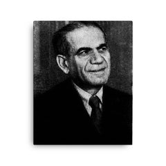 Abraham Plessner canvas print on a plain backdrop in size 16"x20".