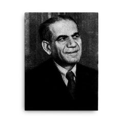 Abraham Plessner canvas print on a plain backdrop in size 18"x24".