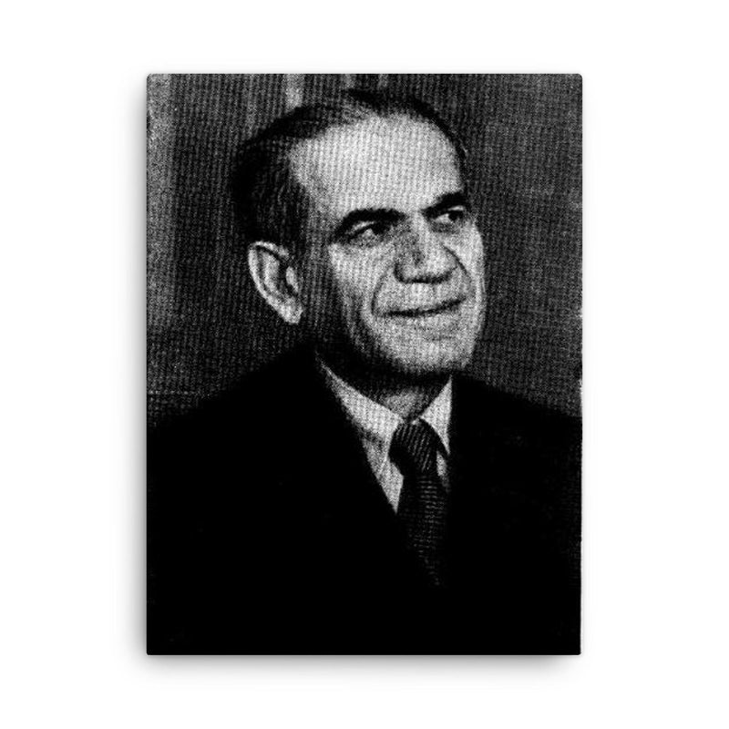 Abraham Plessner canvas print on a plain backdrop in size 18