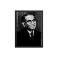 Abraham Plessner framed print on a plain backdrop in size 12"x16".