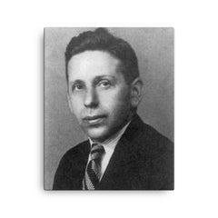 Abraham Wald canvas print on a plain backdrop in size 16"x20".