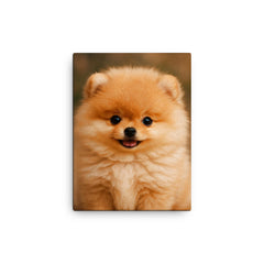 Adorable Pomeranian puppy canvas print on a plain backdrop in size 12"x16".