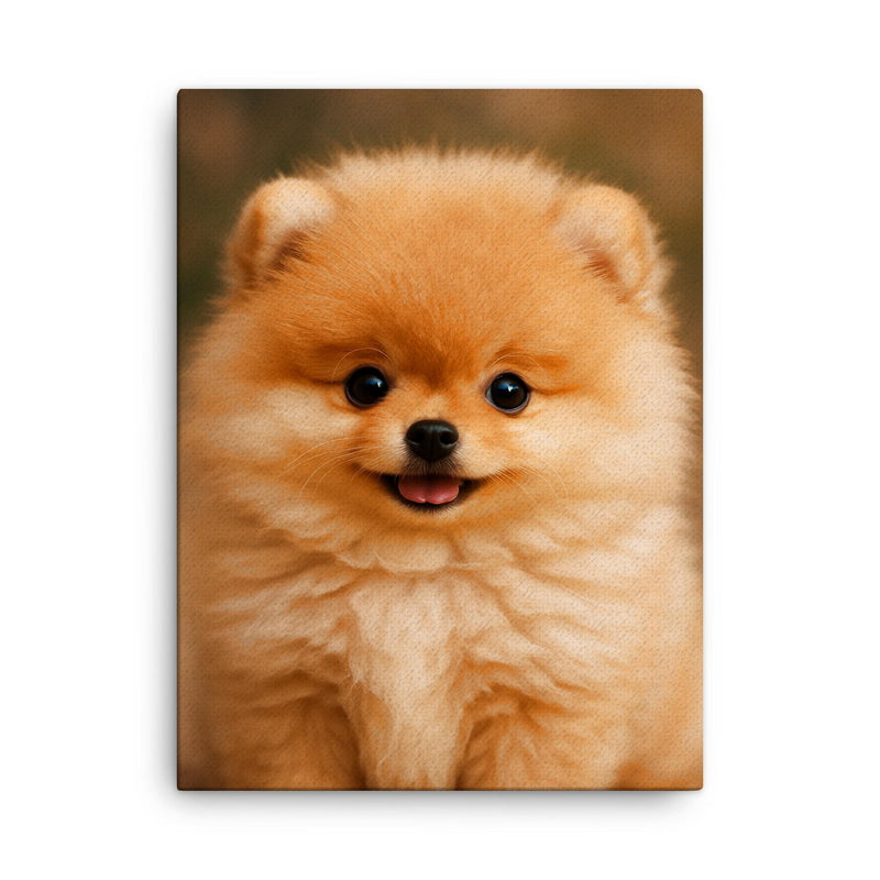 Adorable Pomeranian puppy canvas print on a plain backdrop in size 18