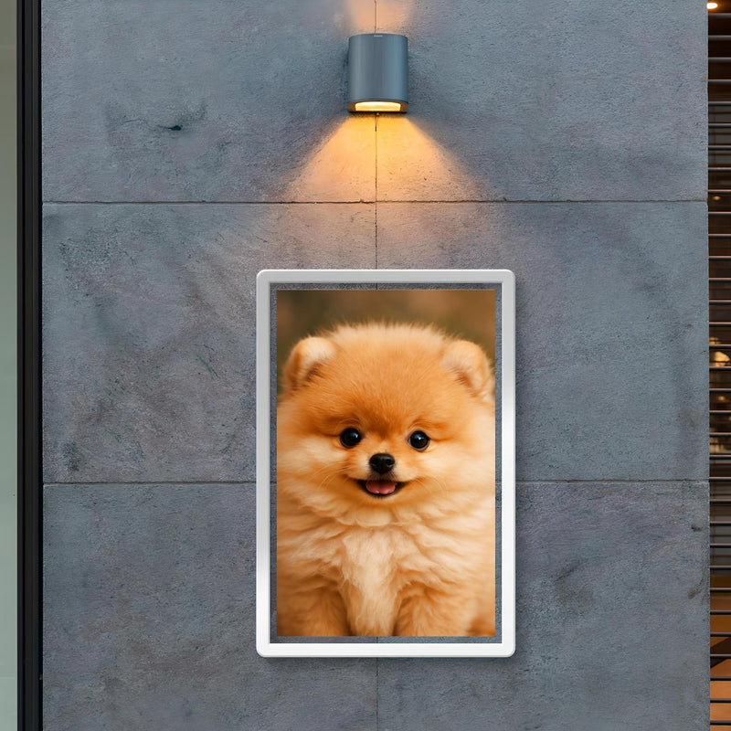 Adorable Pomeranian puppy poster 2