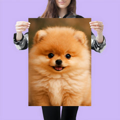 Adorable Pomeranian puppy poster 3
