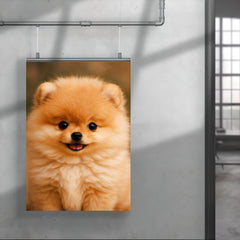 Adorable Pomeranian puppy poster 4