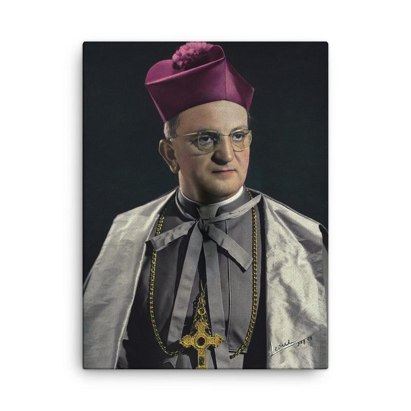 Agostino Ernesto Castrillo canvas print on a plain backdrop in size 18