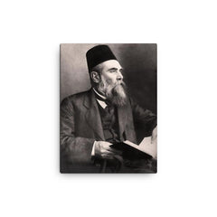 Ahmet Mithat canvas print on a plain backdrop in size 12"x16".