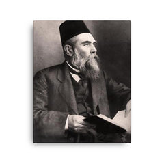 Ahmet Mithat canvas print on a plain backdrop in size 16"x20".