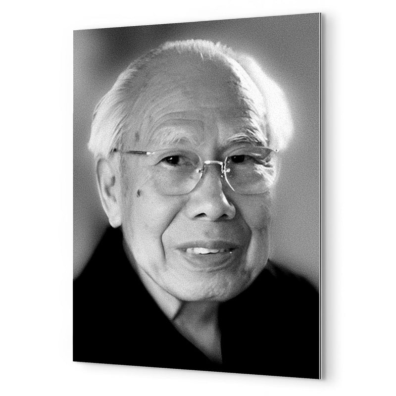 Akira Yoshizawa metal print mockup