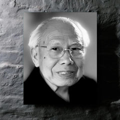 Akira Yoshizawa metal print mockup