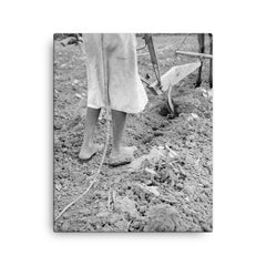 Alabama plow girl, near Eutaw, Alabama by Dorothea Lange canvas print on a plain backdrop in size 16"x20".