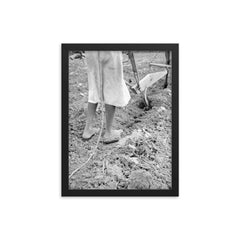Alabama plow girl, near Eutaw, Alabama by Dorothea Lange framed print on a plain backdrop in size 12"x16".