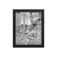 Alabama plow girl, near Eutaw, Alabama by Dorothea Lange framed print on a plain backdrop in size 8"x10".