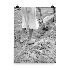 Alabama plow girl, near Eutaw, Alabama by Dorothea Lange poster on a plain backdrop in size 8"x10".