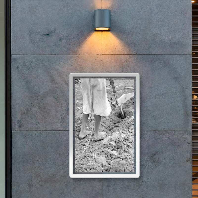 Alabama plow girl, near Eutaw, Alabama by Dorothea Lange poster 2