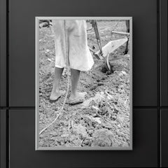 Alabama plow girl, near Eutaw, Alabama by Dorothea Lange poster 5