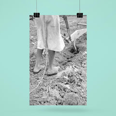 Alabama plow girl, near Eutaw, Alabama by Dorothea Lange poster 6
